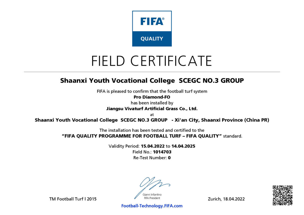 Shaanxi Youth Vocational College SCEGC NO.3 GROUP.