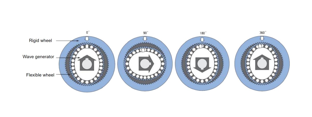 Flexible wheel