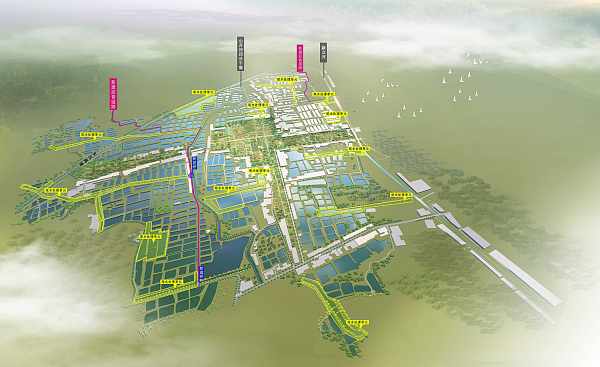 Kasus 2 Proyek Remediasi Terpadu Kolam Akuakultur Perikanan Binzhou, Shandong