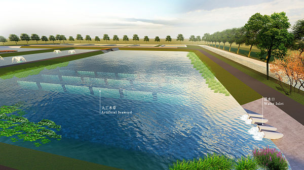 Kasus 7 Proyek Pengolahan Air Limbah Akuakultur Dongying, Shandong