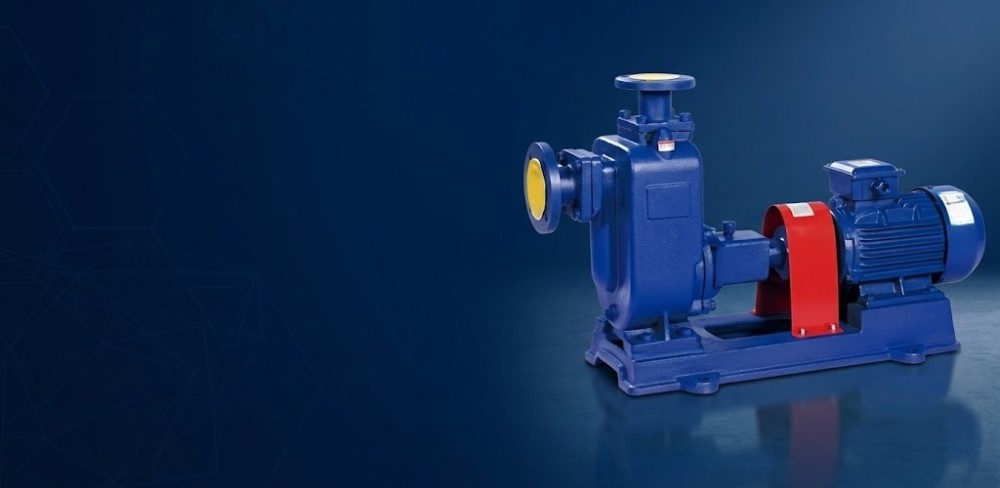 Stainless Steel Pumps