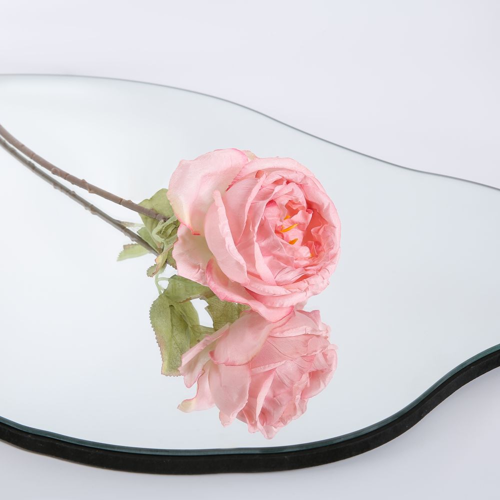 クラウドミラー