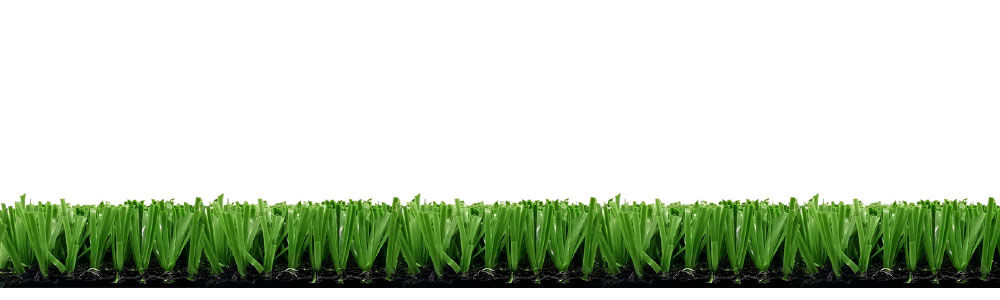 Winner set Winner set