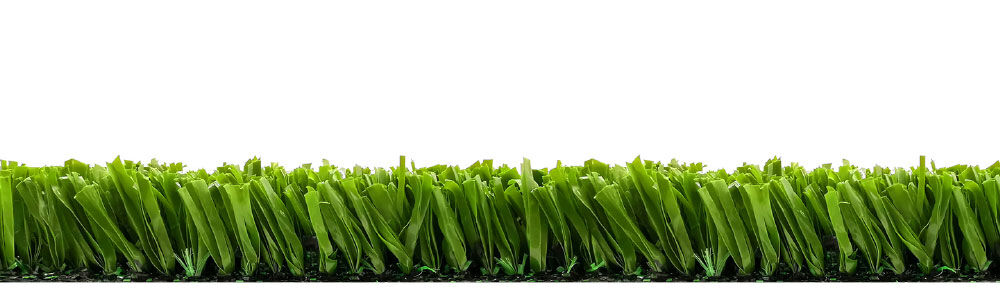 Winner one Winner one