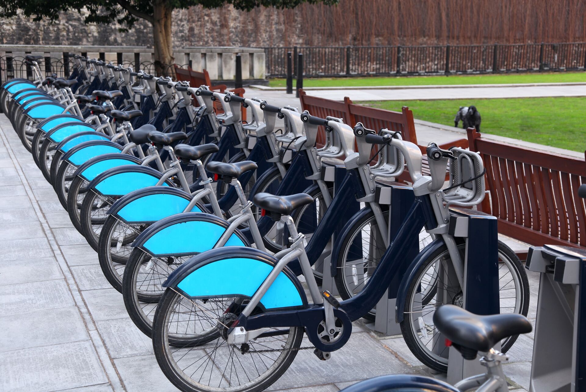 How Wanway GPS trackers and tracking solutions can help you improve your bikes sharing business?