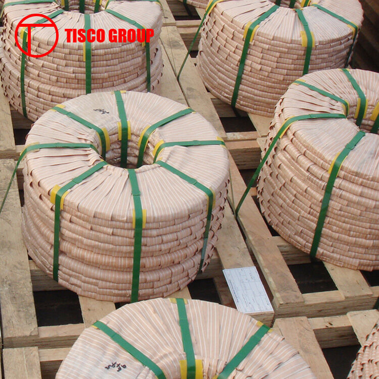 Stainless steel strip