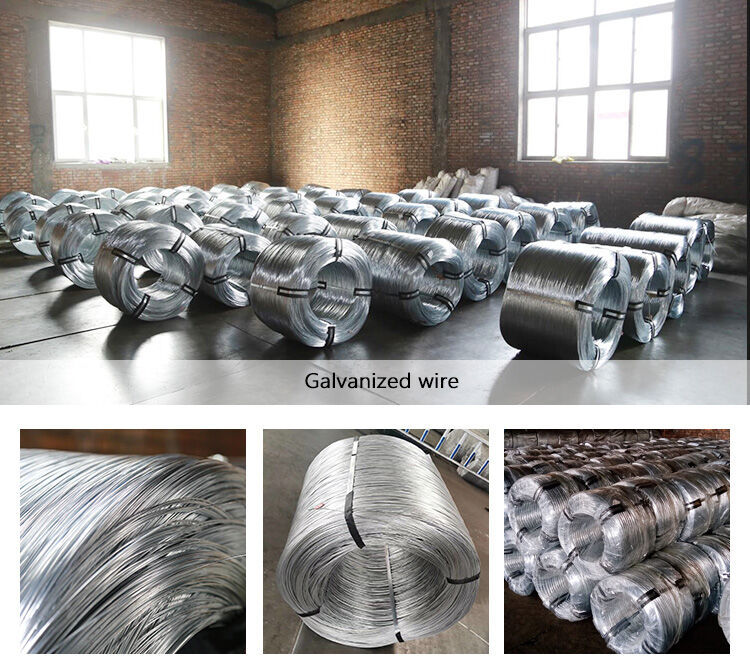 镀锌丝_01.jpg