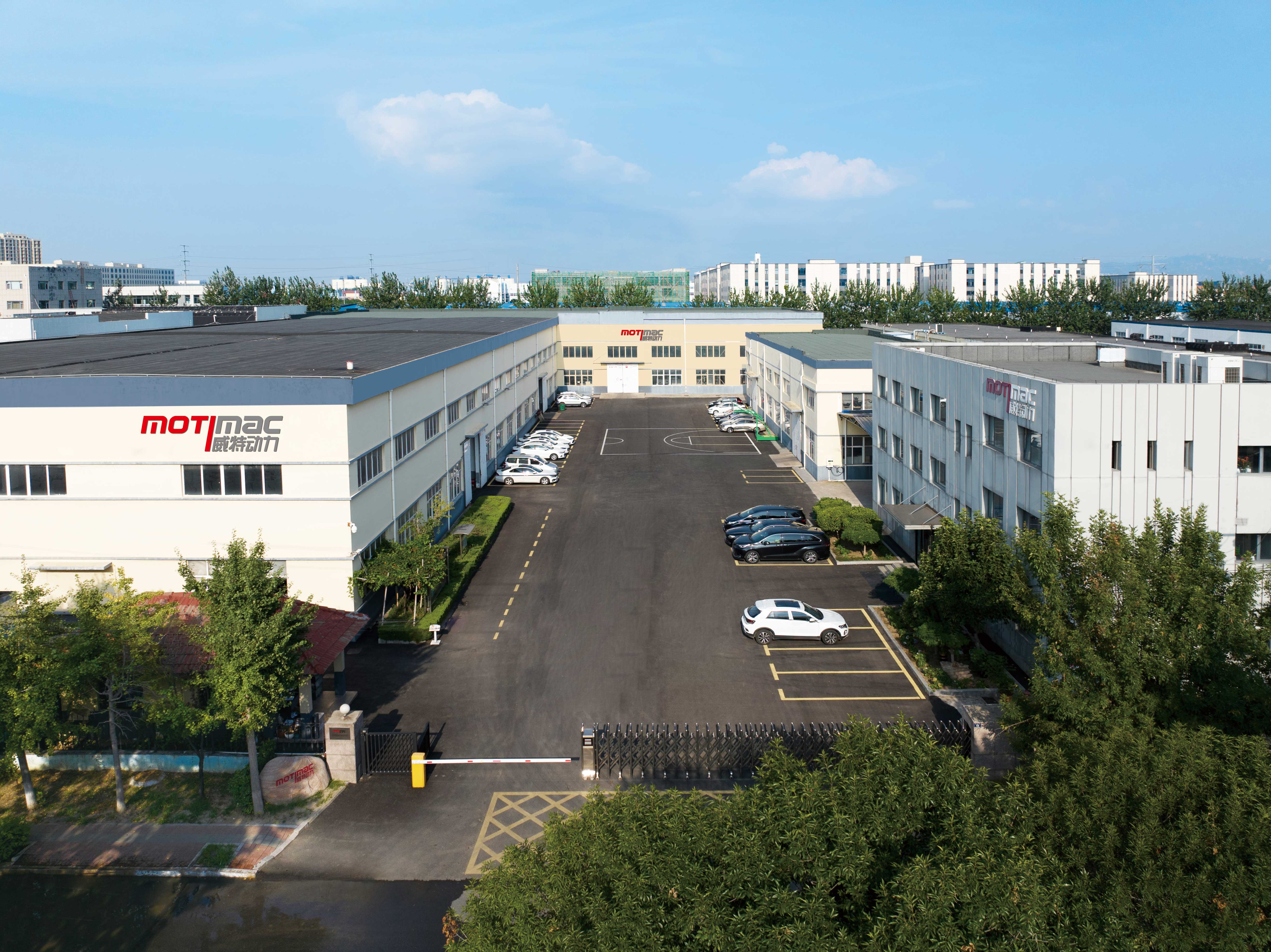 Từ Gốc Gỗ Đến Giải Pháp Mài Nhám Hiện Đại