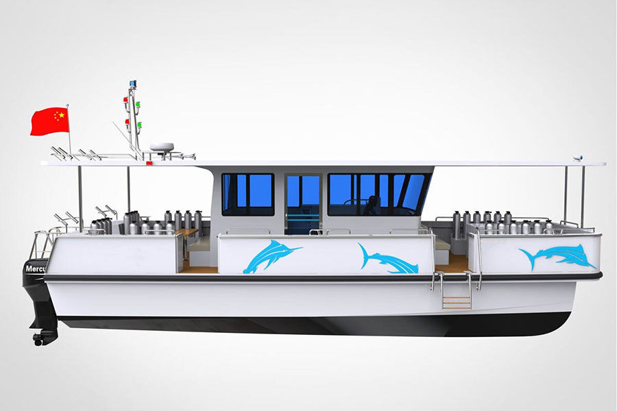 Grandsea 12m Aluminium Catamaran Diving and Scuba Boat للبيع