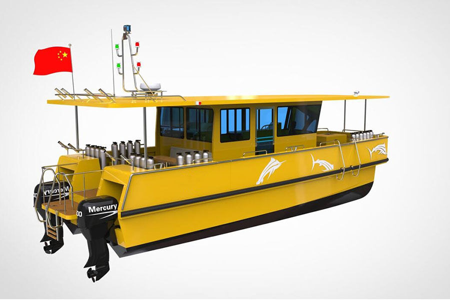 Grandsea 12m Aluminium Catamaran Diving and Scuba Boat للبيع