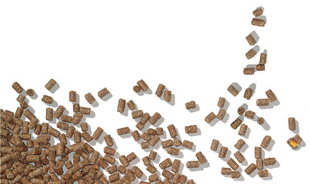 WPC Granule Making Machine
