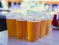 PET Sheet Making Machine