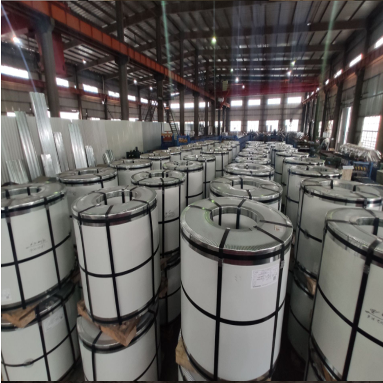 309S/310S Stainless Steel Coil/Strip