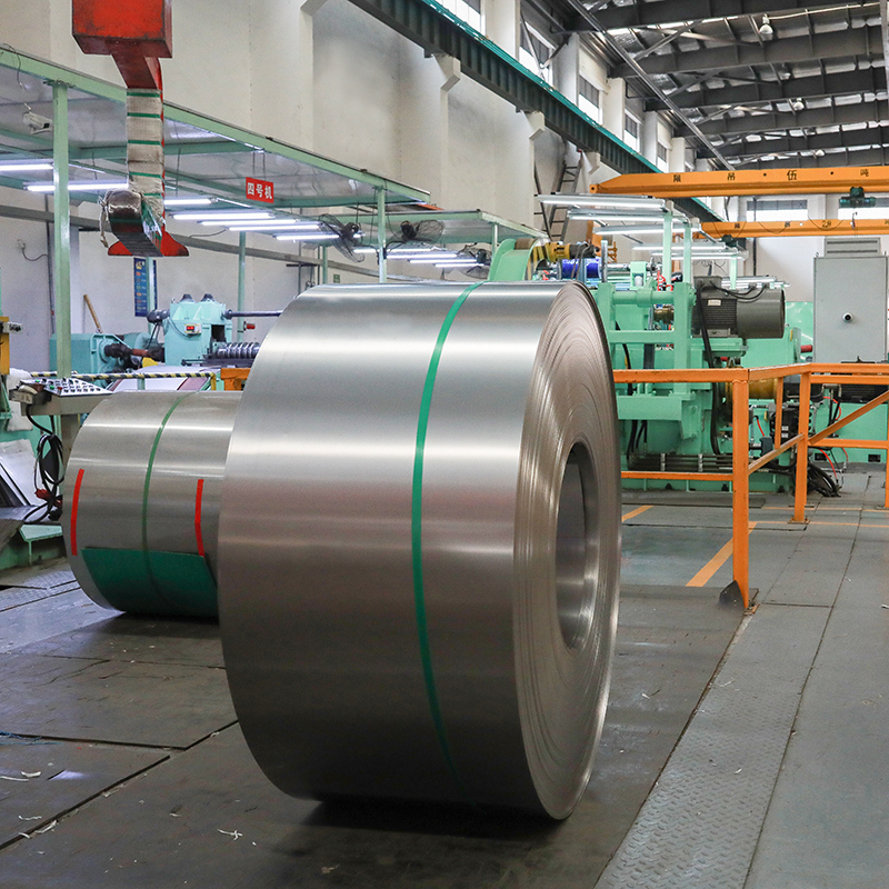 309S/310S Stainless Steel Coil/Strip