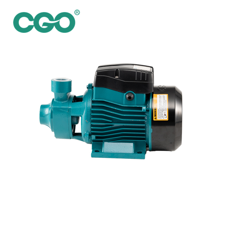 QB60 Peripheral Pump