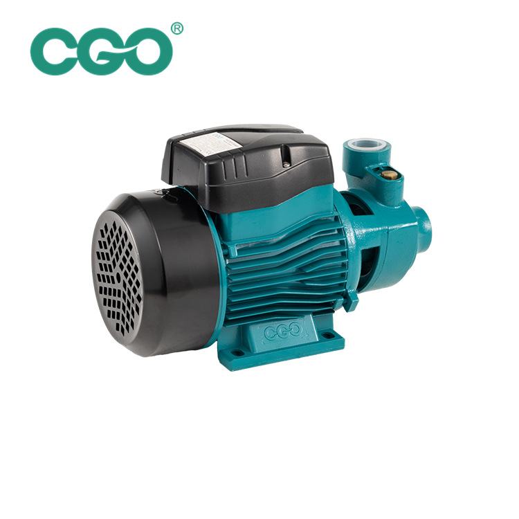 QB60 Peripheral Pump