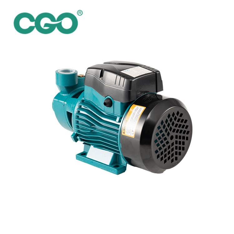 QB60 Peripheral Pump