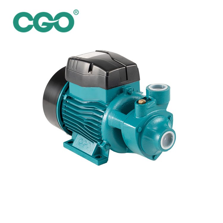 QB60 Peripheral Pump