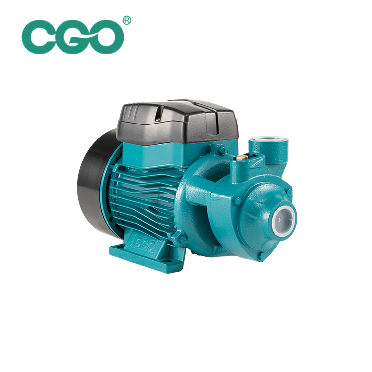 QB60 Peripheral Pump