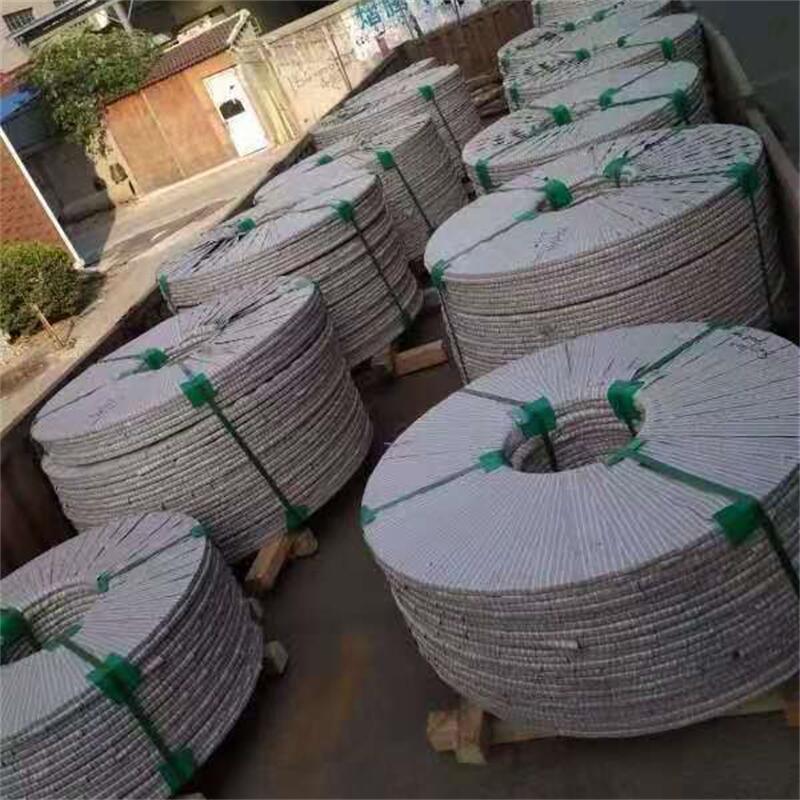 Stainless Steel Strip