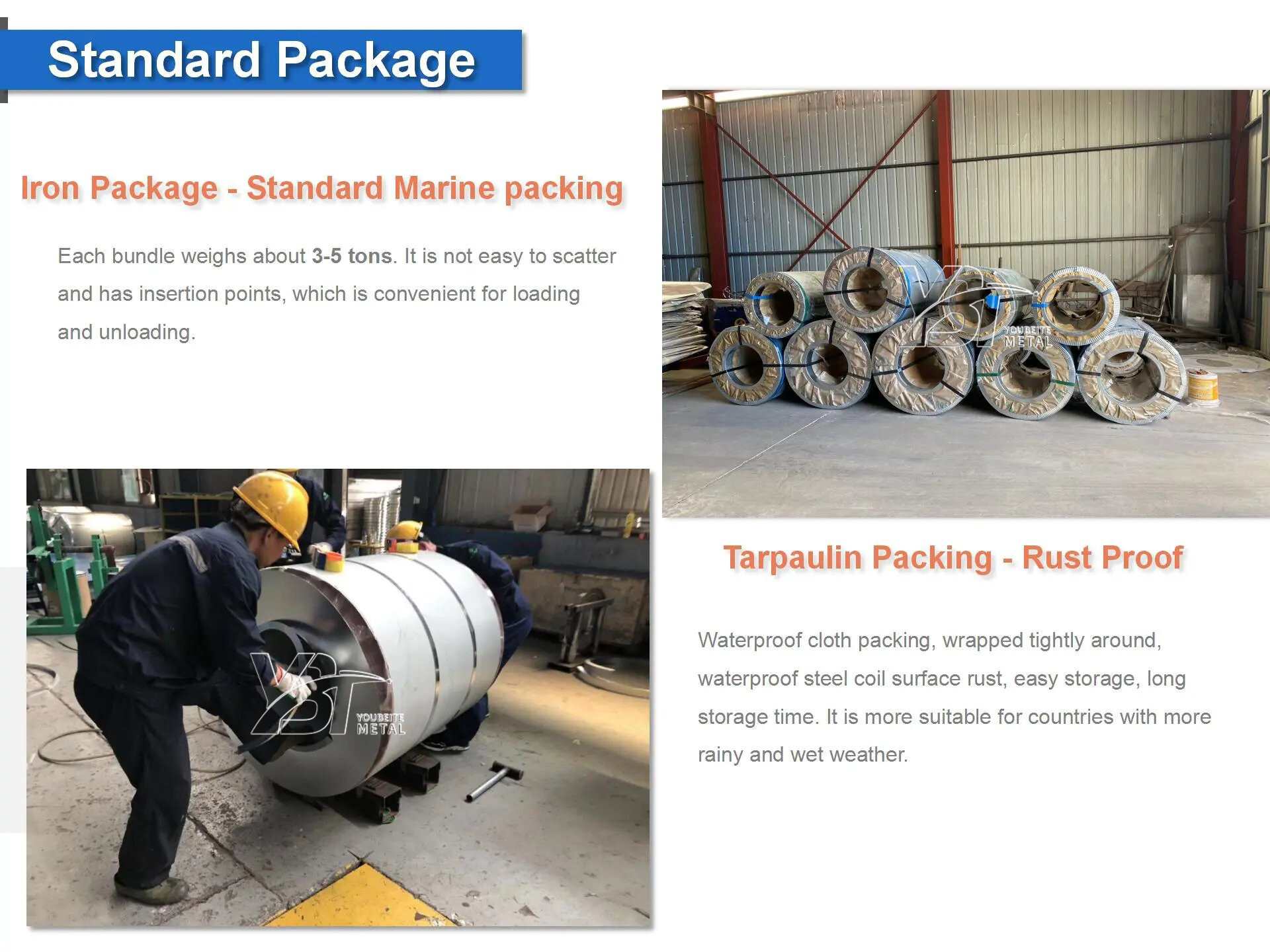 镀锌卷5(1)_看图王.jpg 镀锌卷5(1)_看图王.jpg