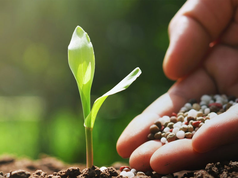 What is water-soluble fertilizer?