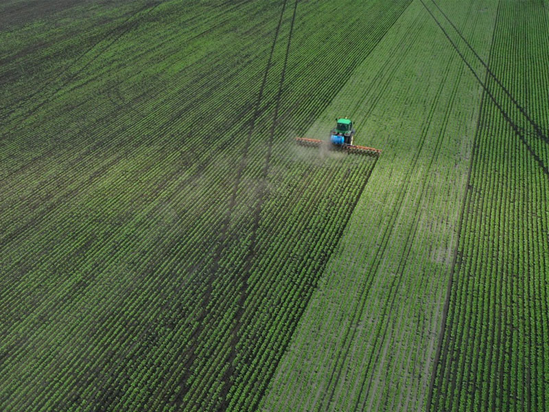 How much fertilizer is best applied? There is a formula, just calculate it!