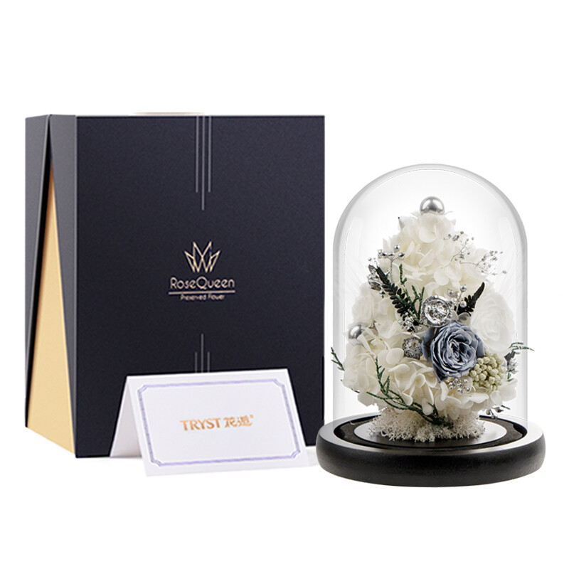 Mini Christmas Tree with Lights