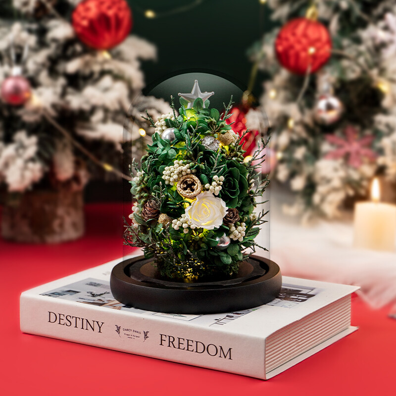 Mini Christmas Tree with Lights