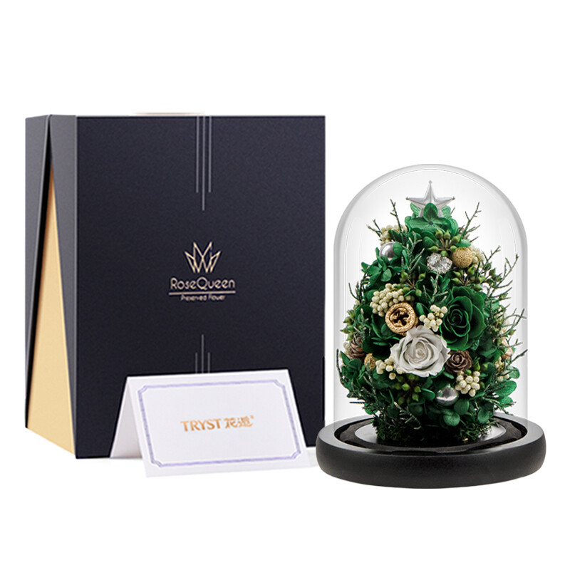 Mini Christmas Tree with Lights