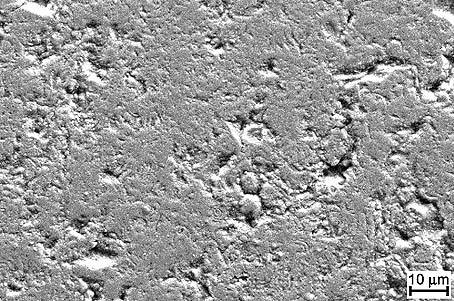 20230826135854130.jpg style=