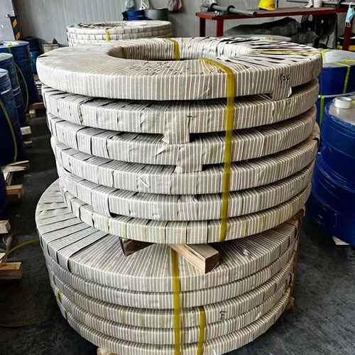 Stainless Steel Strip