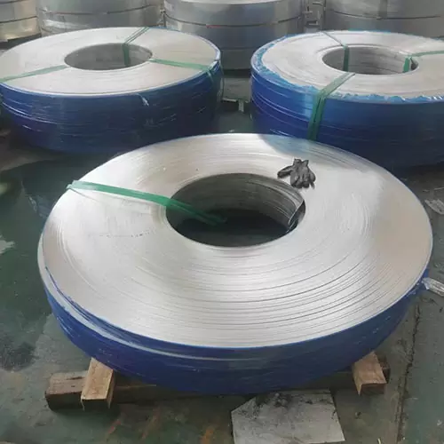 Stainless Steel Strip