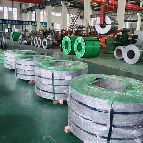 Stainless Steel Strip