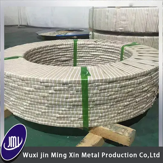 2205 Stainless Steel Strip