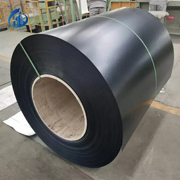 Color Coated Steel Coil (Ppgi)