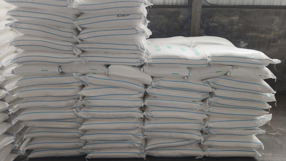 IMG_20240604_133404.jpg IMG_20240604_133404.jpg