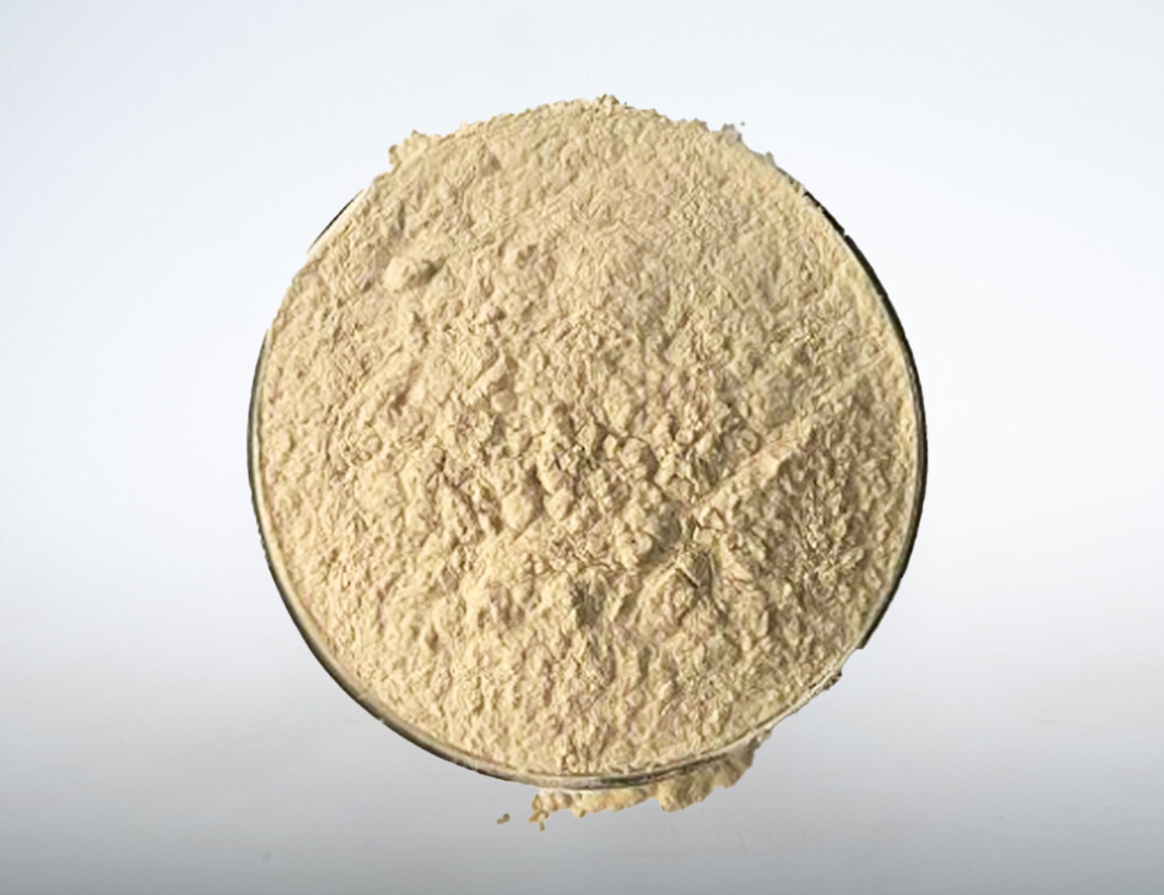Calium Aluminate Powder