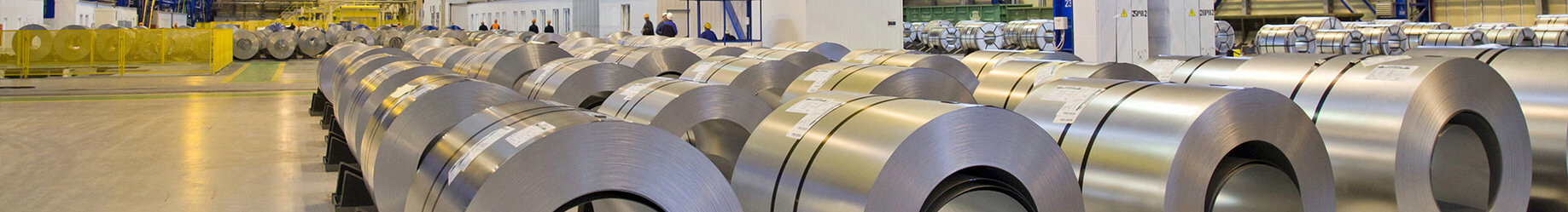 Stainless Steel Coil/Strip