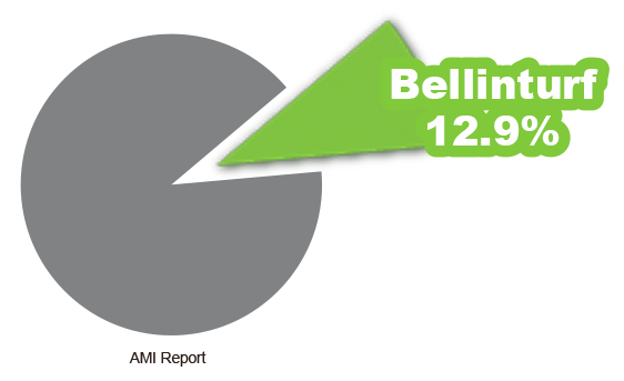 Pangsa Pasar Rumput Buatan Global Berdasarkan Volume Pada tahun 2023 dari laporan AMI 2024