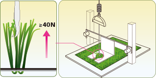 Kekuatan Penarikan Tuft