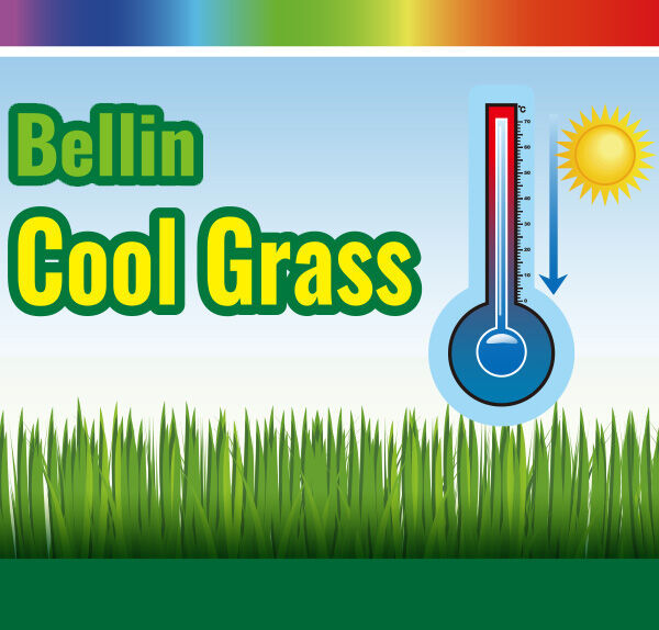 Bellin-Cool Grass