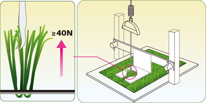 Produksi In-house untuk Semua Produk
