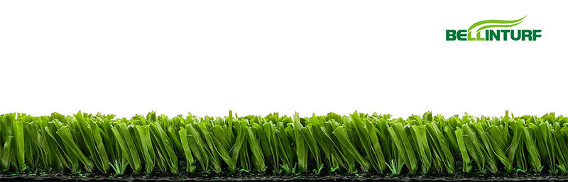 Winner one Winner one