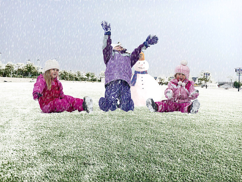 How to clean up your turf after snow