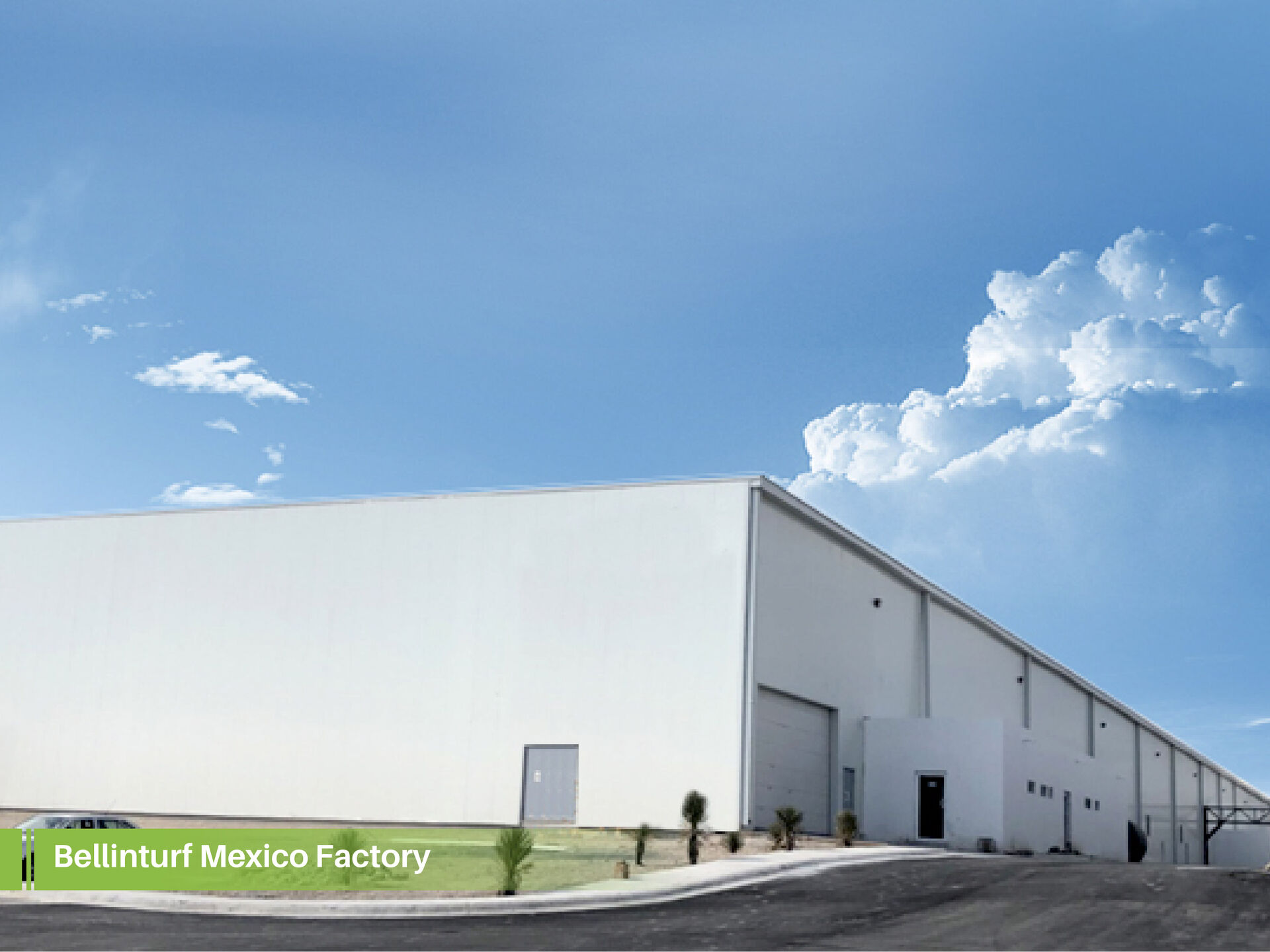 Bellinturf New Factory in Mexico - Faster delivery! Bellinturf New Factory in Mexico - Faster delivery!