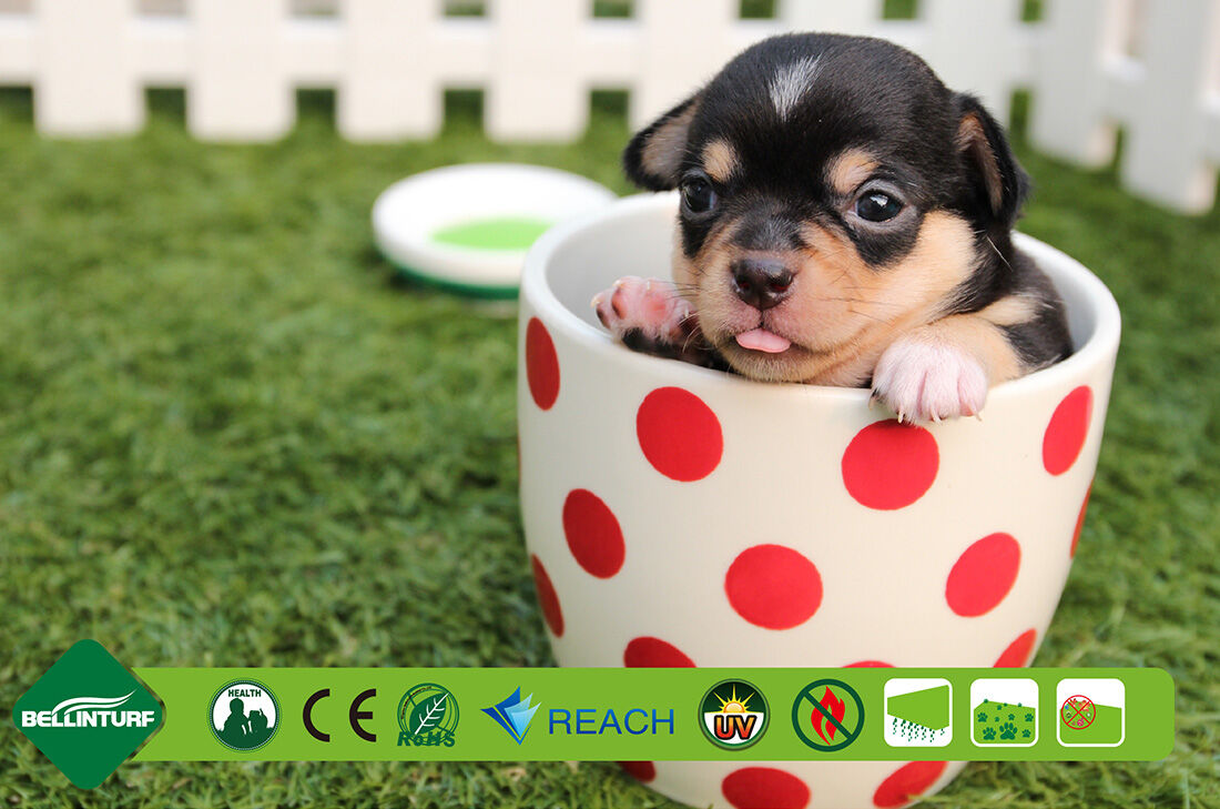 artificial grass manufacturers-bellin.jpg