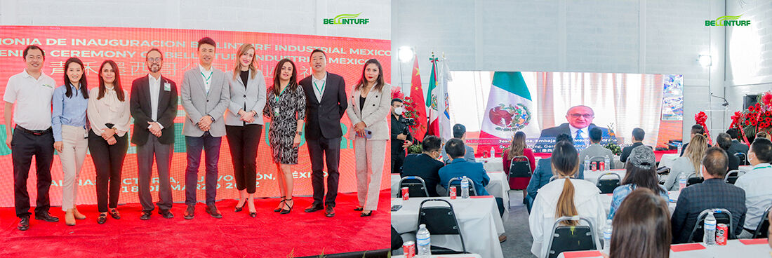 Bellinturf New Factory in Mexico.jpg