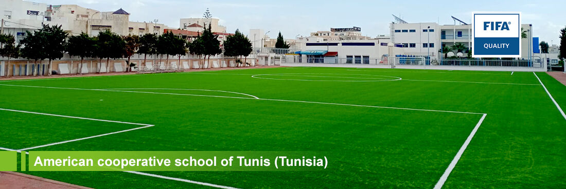 Bellinturf football grass