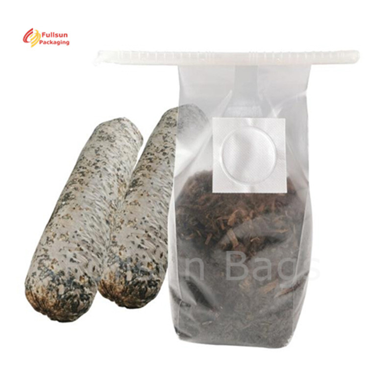 Kantong Pertumbuhan Jamur